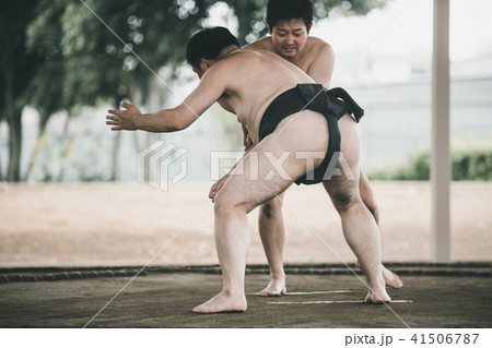 Sumo wrestling 41506787