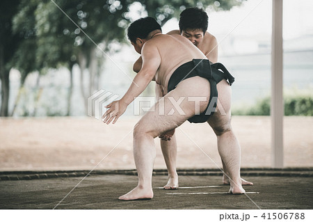 Sumo wrestling 41506788