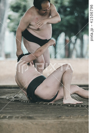 Sumo wrestling Sumo wrestling 41506796