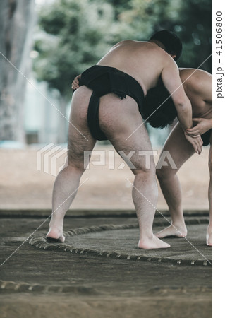 Sumo wrestling Sumo wrestling 41506800