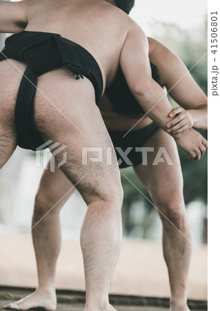 Sumo wrestling Sumo wrestling 41506801