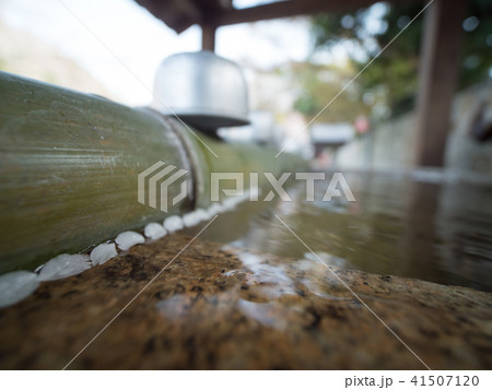天野山金剛寺落慶法要 しだれ桜 天野山金剛寺落慶法要 しだれ桜 41507120