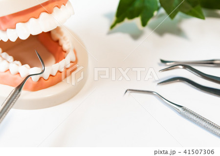 デンタルケア　イメージ 41507306