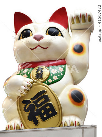 巨大招き猫 41507422