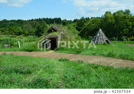 土葺き竪穴住居(手前)･樹皮葺き竪穴住居(奥)（三内丸山遺跡／青森県青森市大字三内字丸山） 41507534