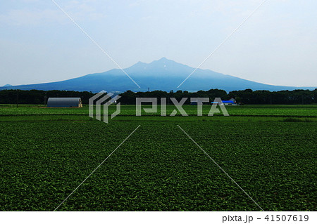 斜里岳　オホーツク富士のある風景 41507619