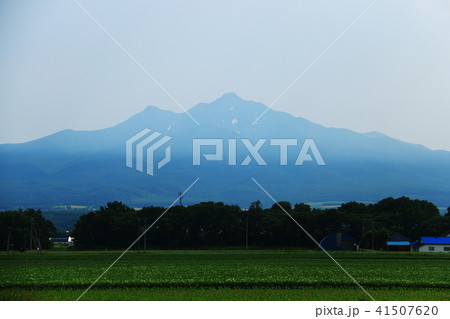 斜里岳　オホーツク富士のある風景 41507620