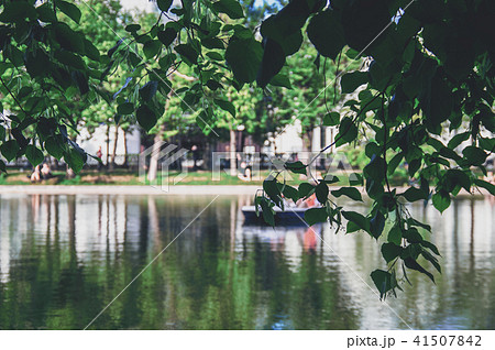 Landscape summer city pond surrounded by trees. 41507842