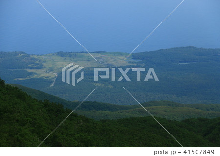 羅臼岳　山頂への道　知床五湖遠景 41507849