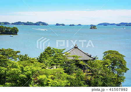 日本三景・五大堂と松島湾の遊覧船 41507892