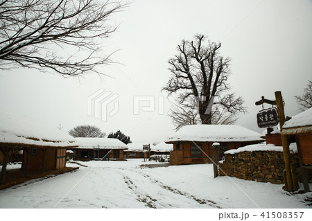 楽安邑城 雪景色 冬の風景 41508357