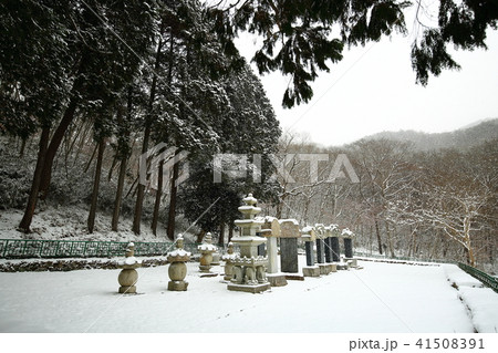 雪景色 風景 寺院 41508391