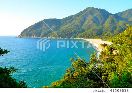 辺塚海岸 41508658