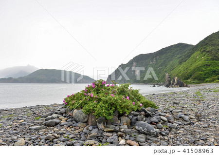 風景 徳積島 甕津郡 41508963