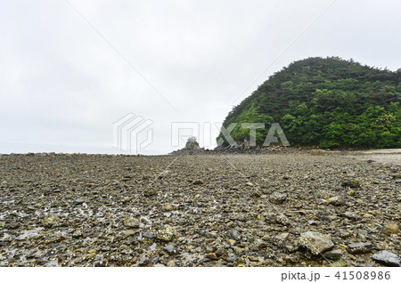 海 ビーチ 風景 41508986