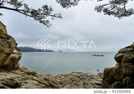 風景 海 ビーチ 41508998
