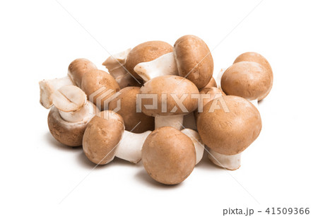 royal mushrooms isolated 41509366