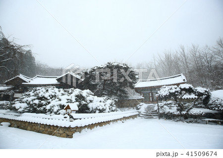 順天市 雪景色 冬 41509674