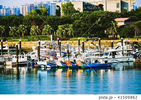 台湾 新北市 冬 41509862