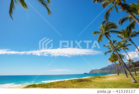 Hawaiian beach 41510117