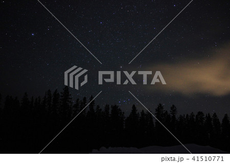 カナダホワイトホース・冬のオーロラ 41510771