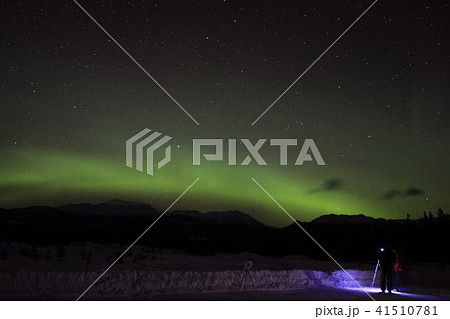 カナダホワイトホース・冬のオーロラ 41510781