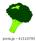 ブロッコリー 41510795