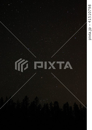 カナダホワイトホース・冬のオーロラ 41510798