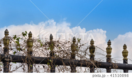 outdoor outdoor 41510898