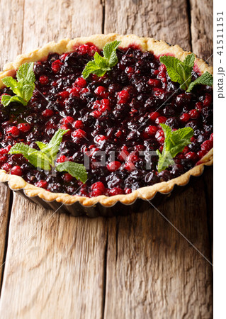 delicious tart with currant berries, cranberries 41511151