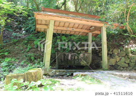 太平山神社の参道（あじさい坂途中の手水舎） 41511610