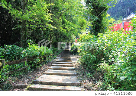 太平山の遊歩道(蓮祥院から謙信平) 太平山の遊歩道(蓮祥院から謙信平) 41511630