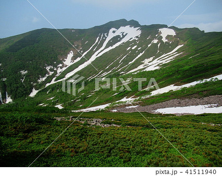 トムラウシ山頂への道　コマドリ沢稜線　初夏　 41511940