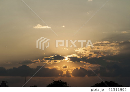 多摩川河川敷に沈む夕日 多摩川河川敷に沈む夕日 41511992