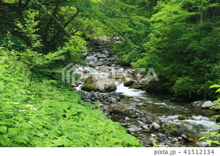 幌尻岳山頂への道　額平川沢歩き　徒渉 41512134