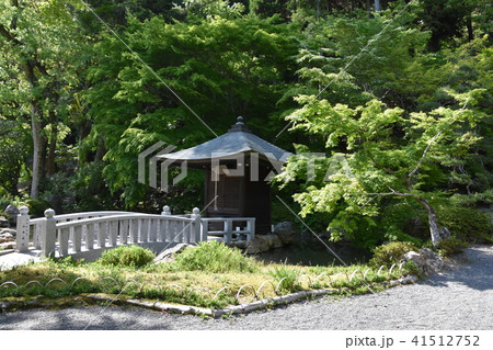 法多山尊永寺　不動明王　袋井市 41512752