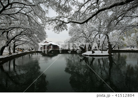 広寒楼 湖 池 41512804