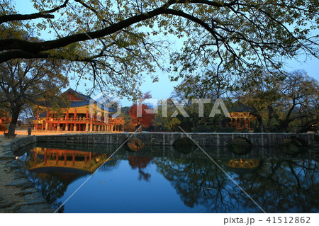 広寒楼 池 秋 41512862