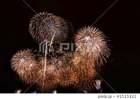 土浦花火大会 41515322