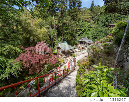 竹生島 宝厳寺 41516247