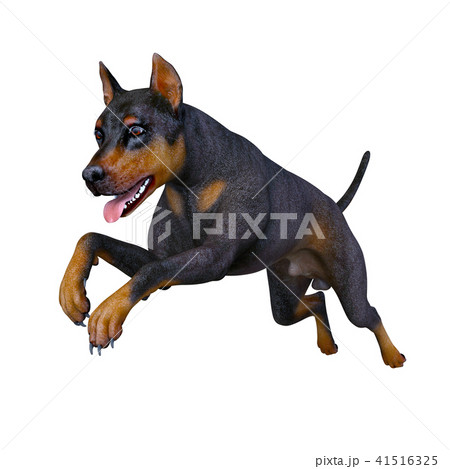 0s2lejv Egtwtm 0s2lejv Egtwtm