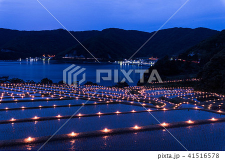 たがらす棚田キャンドル 41516578