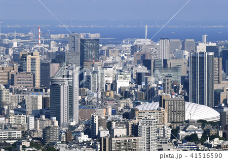 日本の東京都市景観 文京区役所など街並みを望む 日本の東京都市景観 文京区役所など街並みを望む 41516590