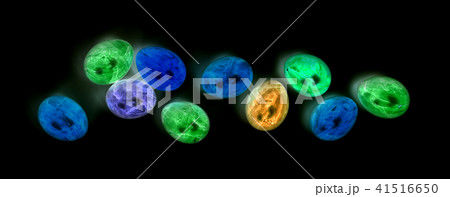 Painted eggs, easter - X-Ray Painted eggs, easter - X-Ray 41516650