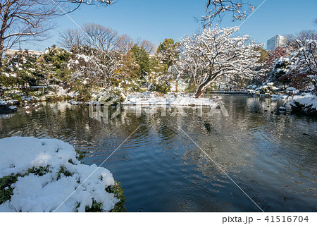 有栖川宮記念公園の雪景色 41516704