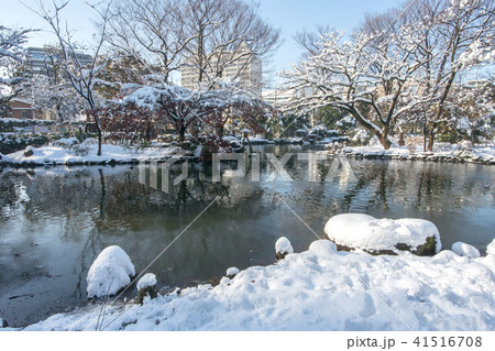 有栖川宮記念公園の雪景色 41516708