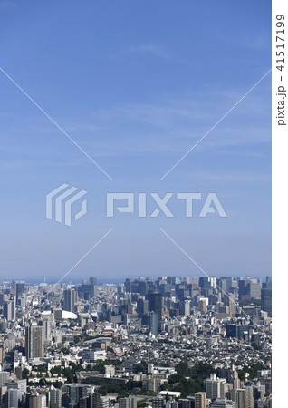 日本の東京都市景観 大手町や丸の内、文京区役所など街並みを望む 日本の東京都市景観 大手町や丸の内、文京区役所など街並みを望む 41517199