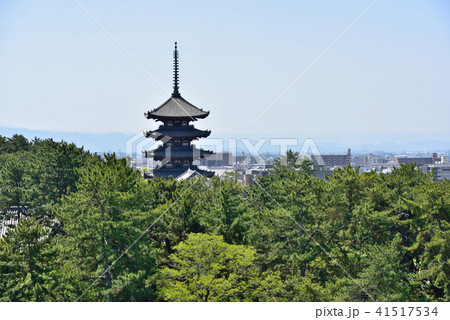 奈良　五重塔 41517534