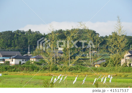 地鎮祭（埼玉県美里町） 41517537