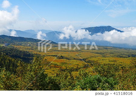 弥陀ヶ原(立山) 弥陀ヶ原(立山) 41518016